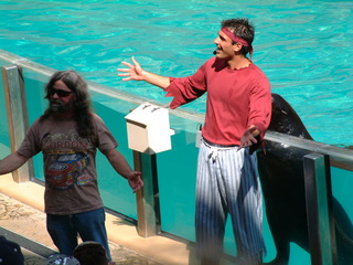 Filename=DSCF0030~4.JPG
Filesize=1255KiB
Dimensions=2048x1536
Date added=Sep 28, 2019 DSCF0030~4.JPG