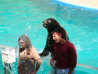 Filename=DSCF0031~4.JPG
Filesize=1269KiB
Dimensions=2048x1536
Date added=Sep 28, 2019 DSCF0031~4.JPG