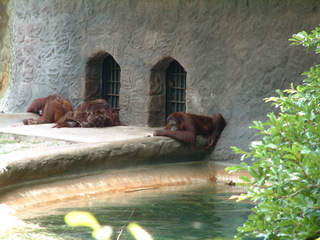 Filename=DSCF0031~6.JPG
Filesize=1271KiB
Dimensions=2048x1536
Date added=Sep 28, 2019 DSCF0031~6.JPG