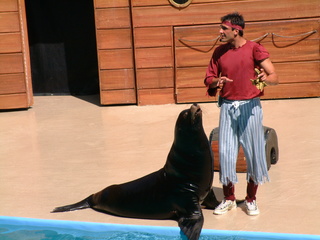 Filename=DSCF0032~4.JPG
Filesize=1264KiB
Dimensions=2048x1536
Date added=Sep 28, 2019 DSCF0032~4.JPG