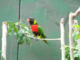 Filename=DSCF0034~6.JPG
Filesize=1180KiB
Dimensions=2048x1536
Date added=Sep 28, 2019 DSCF0034~6.JPG