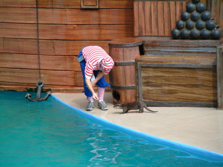 Filename=DSCF0035~4.JPG
Filesize=1229KiB
Dimensions=2048x1536
Date added=Sep 28, 2019 DSCF0035~4.JPG