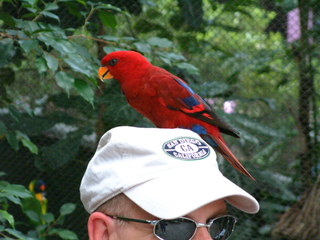 Filename=DSCF0036~6.JPG
Filesize=1164KiB
Dimensions=2048x1536
Date added=Sep 28, 2019 DSCF0036~6.JPG