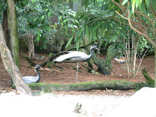 Filename=DSCF0037~6.JPG
Filesize=1288KiB
Dimensions=2048x1536
Date added=Sep 28, 2019 DSCF0037~6.JPG