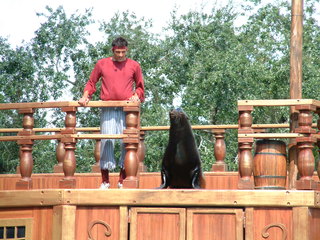 Filename=DSCF0038~3.JPG
Filesize=1293KiB
Dimensions=2048x1536
Date added=Sep 28, 2019 DSCF0038~3.JPG