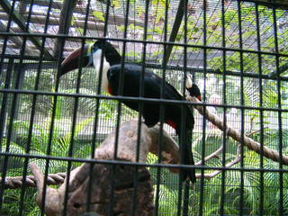 Filename=DSCF0039~6.JPG
Filesize=1171KiB
Dimensions=2048x1536
Date added=Sep 28, 2019 DSCF0039~6.JPG