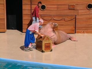 Filename=DSCF0042~3.JPG
Filesize=1246KiB
Dimensions=2048x1536
Date added=Sep 28, 2019 DSCF0042~3.JPG