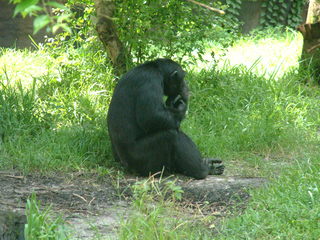 Filename=DSCF0044~6.JPG
Filesize=1178KiB
Dimensions=2048x1536
Date added=Sep 28, 2019 DSCF0044~6.JPG