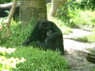 Filename=DSCF0045~5.JPG
Filesize=1213KiB
Dimensions=2048x1536
Date added=Sep 28, 2019 DSCF0045~5.JPG