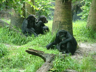 Filename=DSCF0046~3.JPG
Filesize=1191KiB
Dimensions=2048x1536
Date added=Sep 28, 2019 DSCF0046~3.JPG