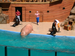 Filename=DSCF0049~3.JPG
Filesize=1259KiB
Dimensions=2048x1536
Date added=Sep 28, 2019 DSCF0049~3.JPG