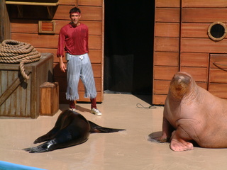 Filename=DSCF0050~3.JPG
Filesize=1244KiB
Dimensions=2048x1536
Date added=Sep 28, 2019 DSCF0050~3.JPG