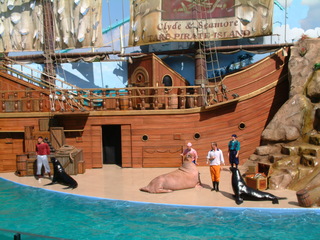 Filename=DSCF0051~3.JPG
Filesize=1286KiB
Dimensions=2048x1536
Date added=Sep 28, 2019 DSCF0051~3.JPG