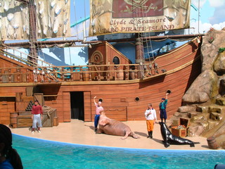 Filename=DSCF0052~2.JPG
Filesize=1284KiB
Dimensions=2048x1536
Date added=Sep 28, 2019 DSCF0052~2.JPG