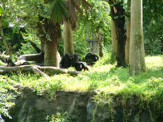 Filename=DSCF0052~3.JPG
Filesize=1199KiB
Dimensions=2048x1536
Date added=Sep 28, 2019 DSCF0052~3.JPG