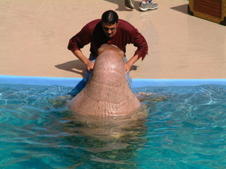 Filename=DSCF0053~2.JPG
Filesize=1253KiB
Dimensions=2048x1536
Date added=Sep 28, 2019 DSCF0053~2.JPG