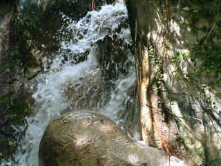 Filename=DSCF0053~3.JPG
Filesize=1167KiB
Dimensions=2048x1536
Date added=Sep 28, 2019 DSCF0053~3.JPG