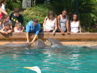 Filename=DSCF0057~2.JPG
Filesize=1266KiB
Dimensions=2048x1536
Date added=Sep 28, 2019 DSCF0057~2.JPG