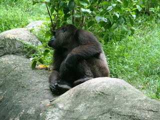 Filename=DSCF0057~3.JPG
Filesize=1186KiB
Dimensions=2048x1536
Date added=Sep 28, 2019 DSCF0057~3.JPG