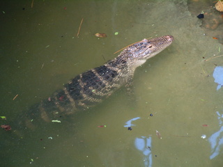 Filename=DSCF0058.JPG
Filesize=1205KiB
Dimensions=2048x1536
Date added=Sep 27, 2019 DSCF0058.JPG