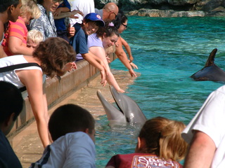 Filename=DSCF0058~2.JPG
Filesize=1261KiB
Dimensions=2048x1536
Date added=Sep 28, 2019 DSCF0058~2.JPG