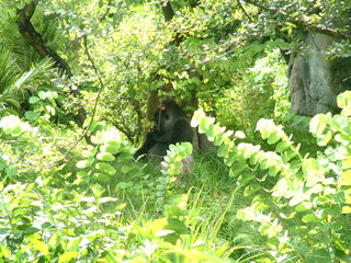 Filename=DSCF0060~3.JPG
Filesize=1229KiB
Dimensions=2048x1536
Date added=Sep 28, 2019 DSCF0060~3.JPG