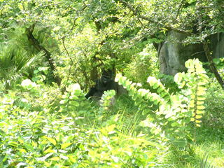 Filename=DSCF0062~3.JPG
Filesize=1204KiB
Dimensions=2048x1536
Date added=Sep 28, 2019 DSCF0062~3.JPG