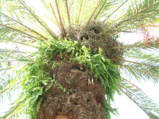 Filename=DSCF0064~3.JPG
Filesize=1255KiB
Dimensions=2048x1536
Date added=Sep 28, 2019 DSCF0064~3.JPG