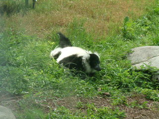 Filename=DSCF0075~1.JPG
Filesize=1173KiB
Dimensions=2048x1536
Date added=Sep 28, 2019 DSCF0075~1.JPG