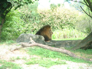 Filename=DSCF0083~1.JPG
Filesize=1261KiB
Dimensions=2048x1536
Date added=Sep 28, 2019 DSCF0083~1.JPG