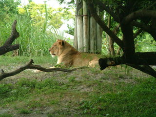 Filename=DSCF0086~1.JPG
Filesize=1156KiB
Dimensions=2048x1536
Date added=Sep 28, 2019 DSCF0086~1.JPG