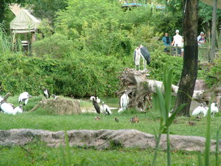 Filename=DSCF0094~0.JPG
Filesize=1185KiB
Dimensions=2048x1536
Date added=Sep 28, 2019 DSCF0094~0.JPG