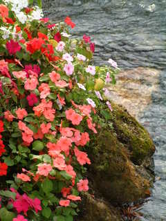 Filename=DSCF2083.JPG
Filesize=287KiB
Dimensions=960x1280
Date added=Sep 28, 2019 DSCF2083.JPG