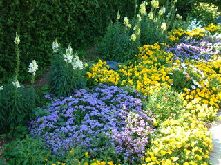 Filename=DSCF2108.JPG
Filesize=1247KiB
Dimensions=2048x1536
Date added=Sep 28, 2019 DSCF2108.JPG