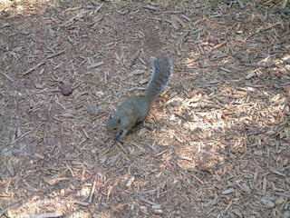 Filename=DSCF2123.JPG
Filesize=1264KiB
Dimensions=2048x1536
Date added=Sep 28, 2019 DSCF2123.JPG