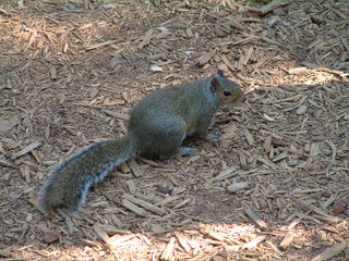 Filename=DSCF2124.JPG
Filesize=1260KiB
Dimensions=2048x1536
Date added=Sep 28, 2019 DSCF2124.JPG