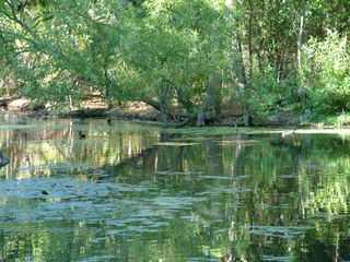 Filename=DSCF2146.JPG
Filesize=1218KiB
Dimensions=2048x1536
Date added=Sep 28, 2019 DSCF2146.JPG