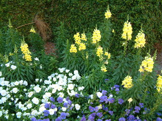 Filename=DSCF2155.JPG
Filesize=1253KiB
Dimensions=2048x1536
Date added=Sep 28, 2019 DSCF2155.JPG