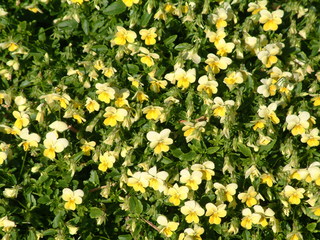 Filename=DSCF2158.JPG
Filesize=1294KiB
Dimensions=2048x1536
Date added=Sep 28, 2019 DSCF2158.JPG