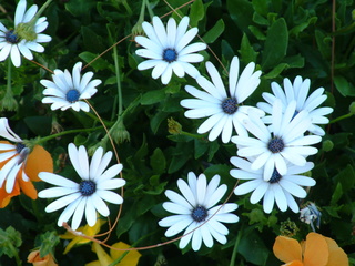 Filename=DSCF2162.JPG
Filesize=1263KiB
Dimensions=2048x1536
Date added=Sep 28, 2019 DSCF2162.JPG