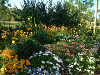 Filename=DSCF2167.JPG
Filesize=1256KiB
Dimensions=2048x1536
Date added=Sep 28, 2019 DSCF2167.JPG