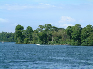 Filename=DSCF2229.JPG
Filesize=1299KiB
Dimensions=2048x1536
Date added=Sep 28, 2019 DSCF2229.JPG