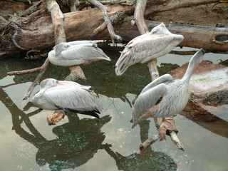 Filename=DSCF2269.JPG
Filesize=1249KiB
Dimensions=2048x1536
Date added=Sep 28, 2019 DSCF2269.JPG