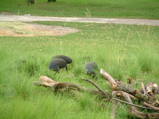 Filename=DSCF2275.JPG
Filesize=1256KiB
Dimensions=2048x1536
Date added=Sep 28, 2019 DSCF2275.JPG