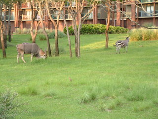 Filename=DSCF2281.JPG
Filesize=1235KiB
Dimensions=2048x1536
Date added=Sep 28, 2019 DSCF2281.JPG