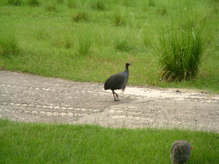 Filename=DSCF2282.JPG
Filesize=1216KiB
Dimensions=2048x1536
Date added=Sep 28, 2019 DSCF2282.JPG