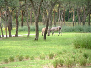 Filename=DSCF2283.JPG
Filesize=1234KiB
Dimensions=2048x1536
Date added=Sep 28, 2019 DSCF2283.JPG