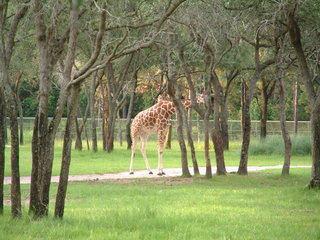 Filename=DSCF2284.JPG
Filesize=1221KiB
Dimensions=2048x1536
Date added=Sep 28, 2019 DSCF2284.JPG