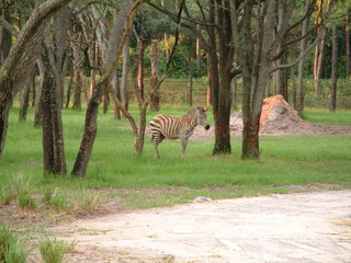 Filename=DSCF2290.JPG
Filesize=1252KiB
Dimensions=2048x1536
Date added=Sep 28, 2019 DSCF2290.JPG