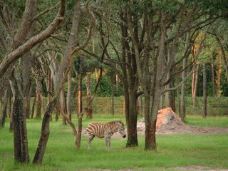 Filename=DSCF2293.JPG
Filesize=1168KiB
Dimensions=2048x1536
Date added=Sep 28, 2019 DSCF2293.JPG